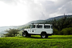 Iran Tours